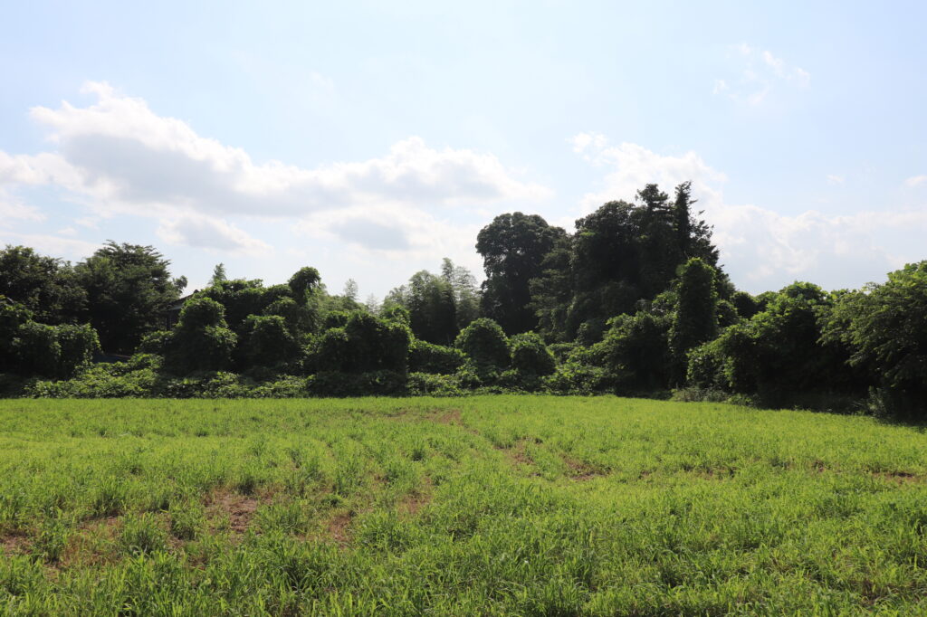 田舎の土地