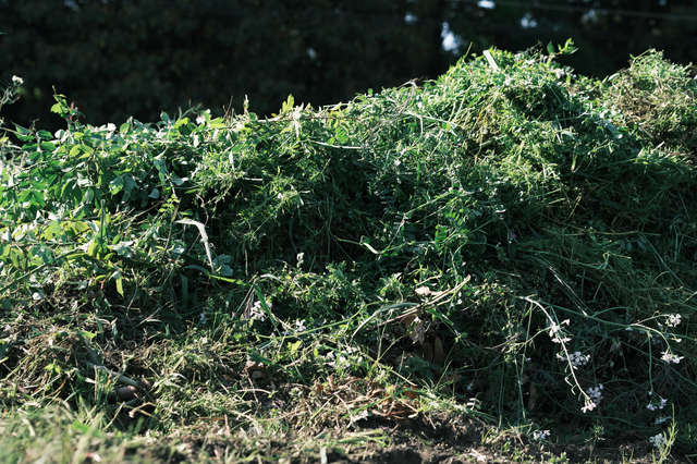 大量の草の山