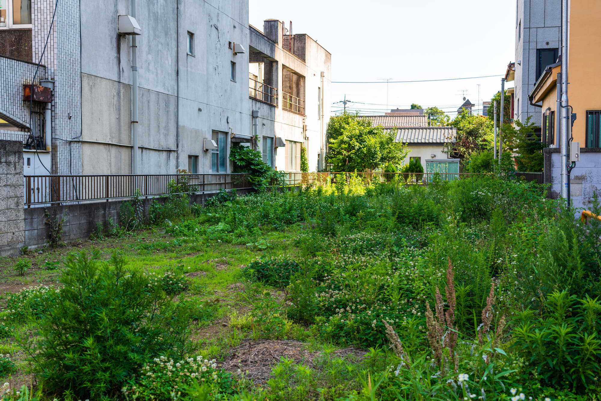 日当たりの悪い土地を活用するには？方法・アイデアを紹介